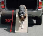 Access ramps for your pet's safety ... especially older dogs.