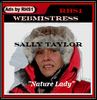 Sally Taylor Webmistress of RHSI