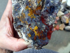 DSC02864 Lake Lahontan Agate